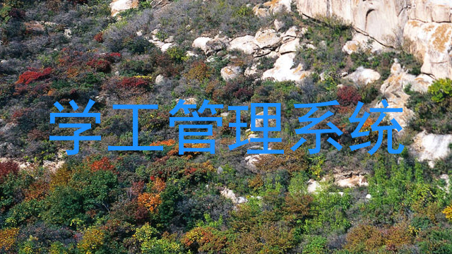 学工管理系统