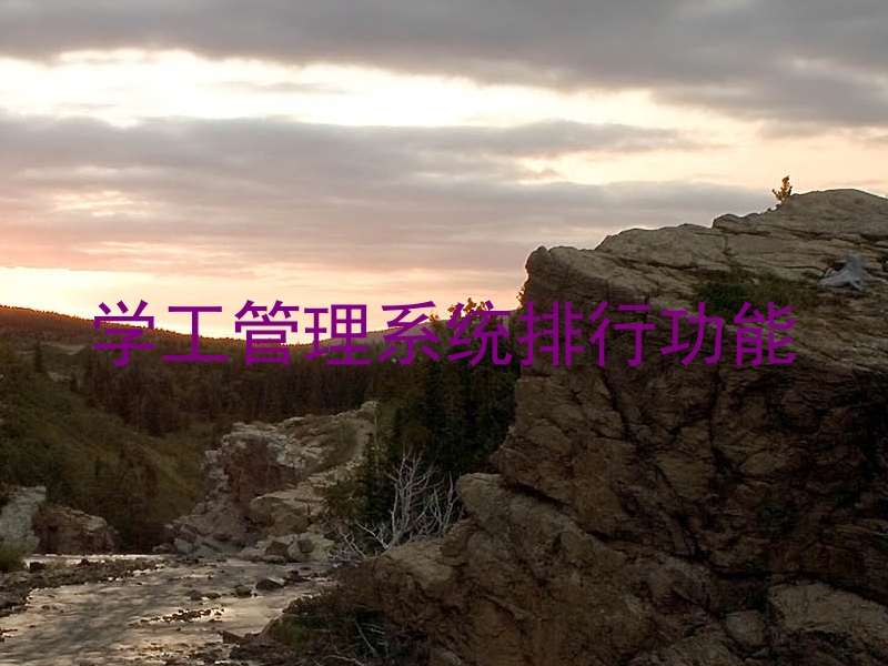 学工管理系统排行功能