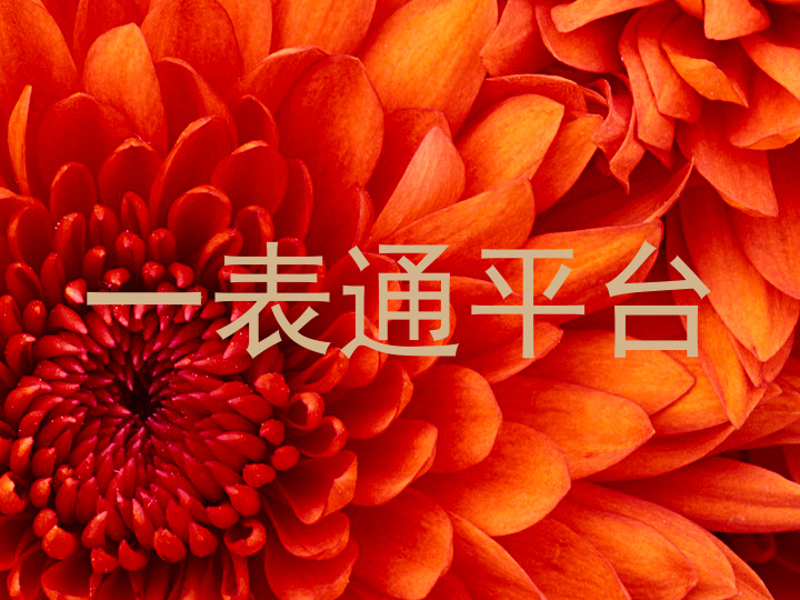 一表通平台