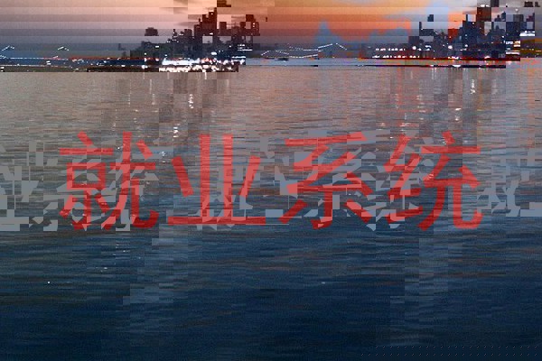 就业系统
