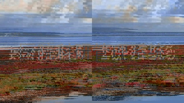 医院科研管理系统