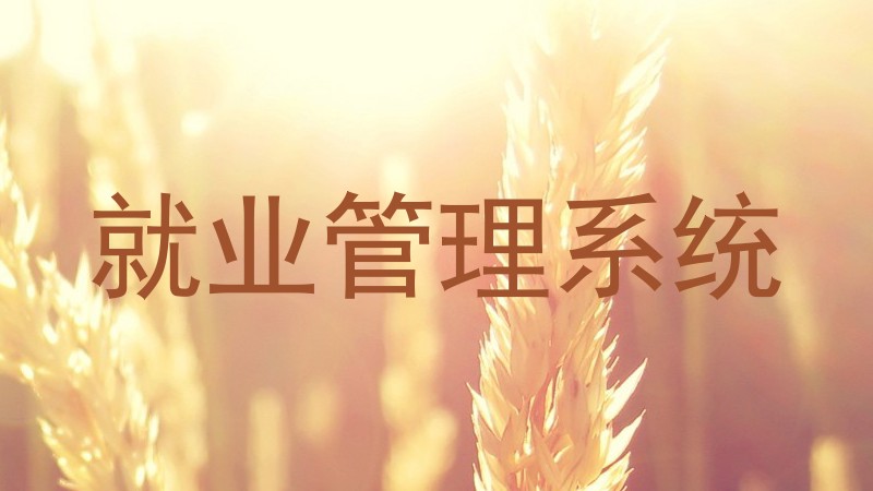 就业管理系统