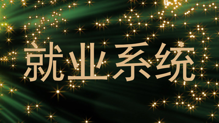 就业系统