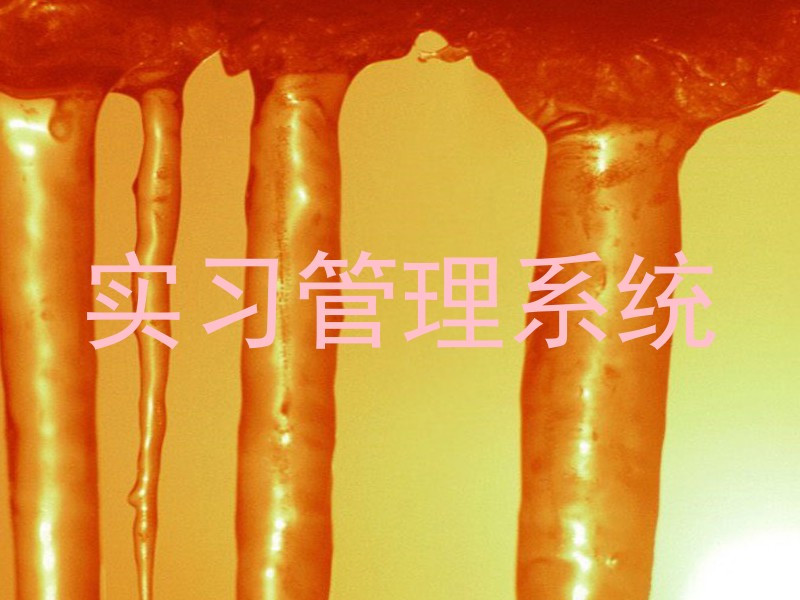 实习管理系统