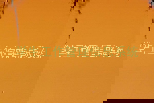 学生工作管理信息系统