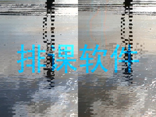 排课软件