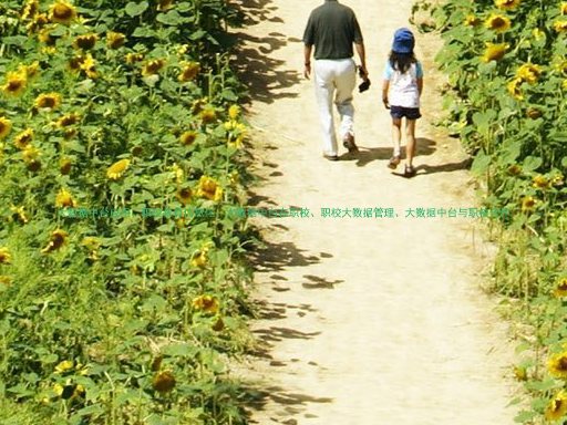 大数据中台应用、职校教育信息化、大数据中台在职校、职校大数据管理、大数据中台与职校合作