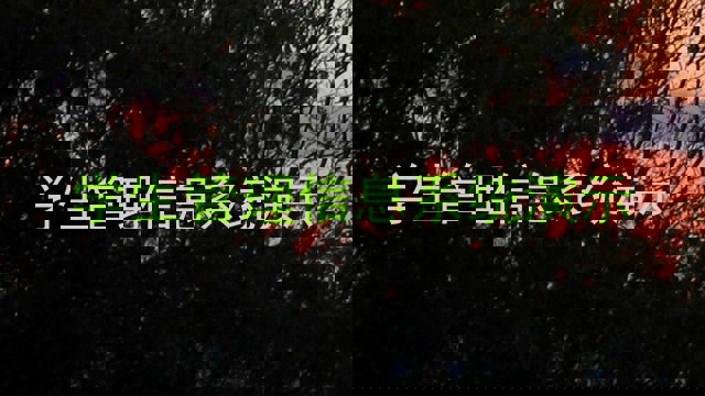 学生管理信息系统演示