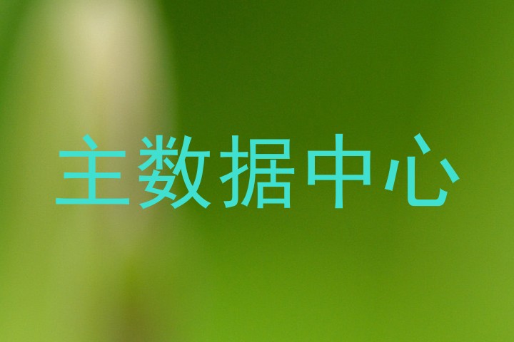 主数据中心