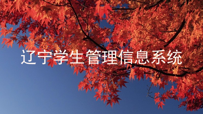 辽宁学生管理信息系统