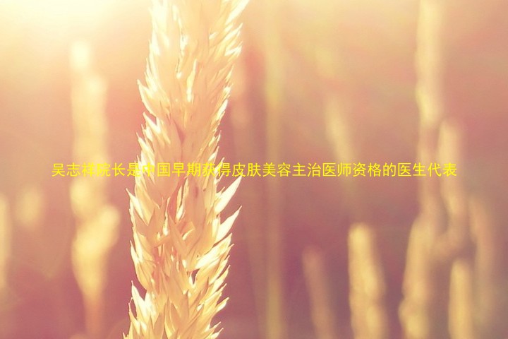 吴志祥院长是中国早期获得皮肤美容主治医师资格的医生代表