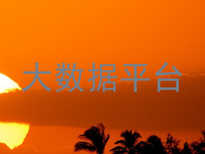 大数据平台