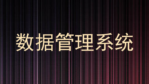 数据管理系统