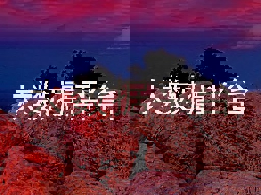 大数据平台