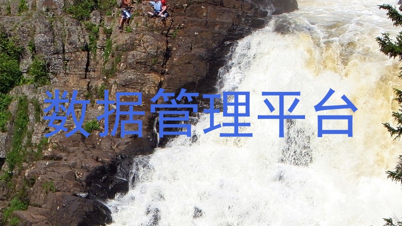 数据管理平台