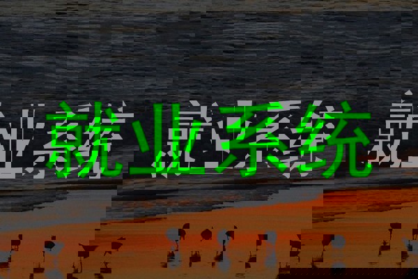 就业系统