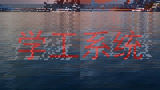 学工系统