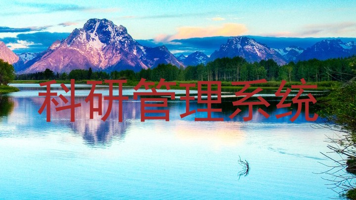 科研管理系统