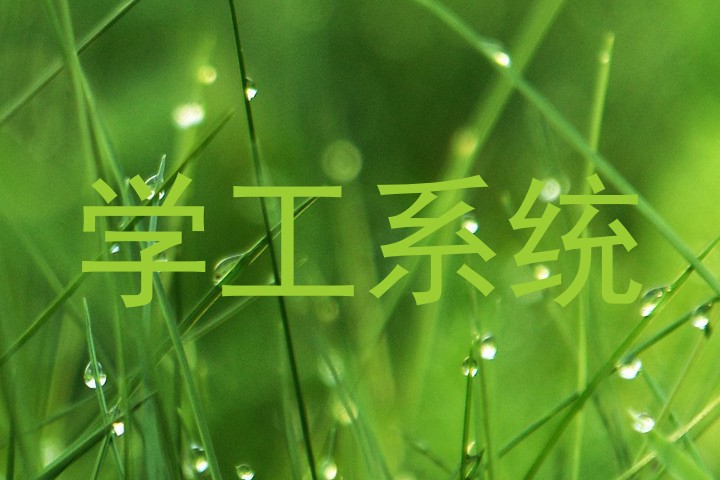 学工系统