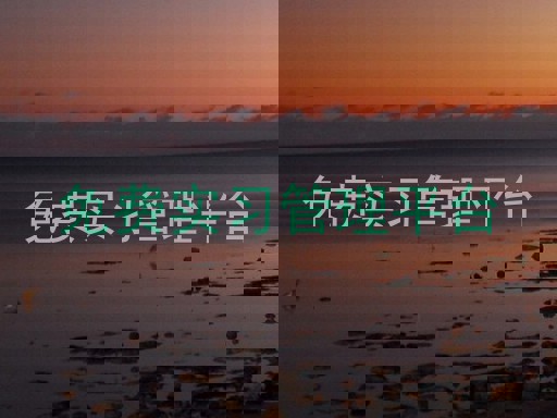 免费实习管理平台