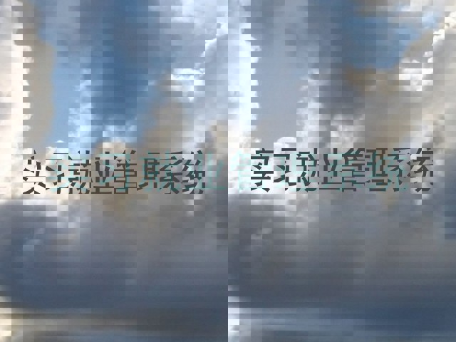 实习就业管理系统