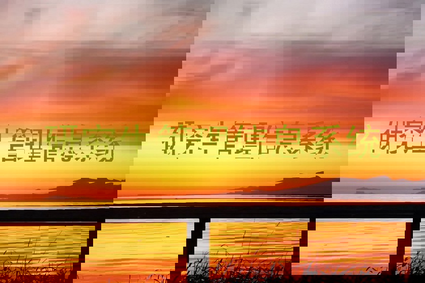 研究生管理信息系统