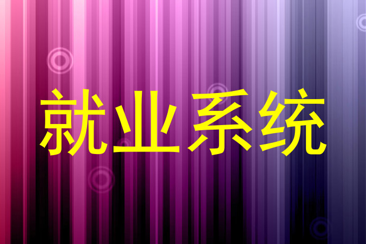 就业系统