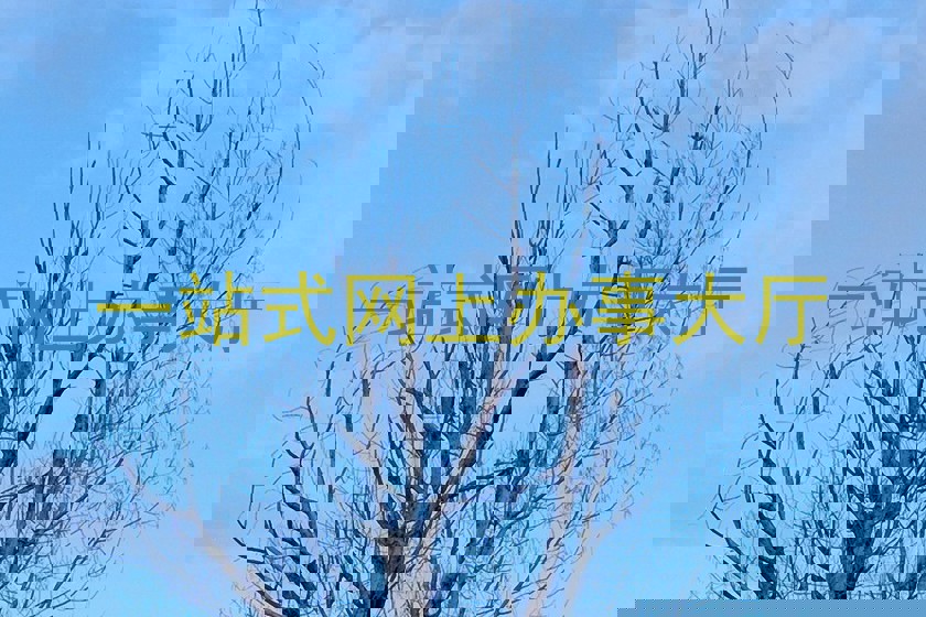 一站式网上办事大厅
