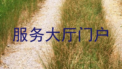 服务大厅门户