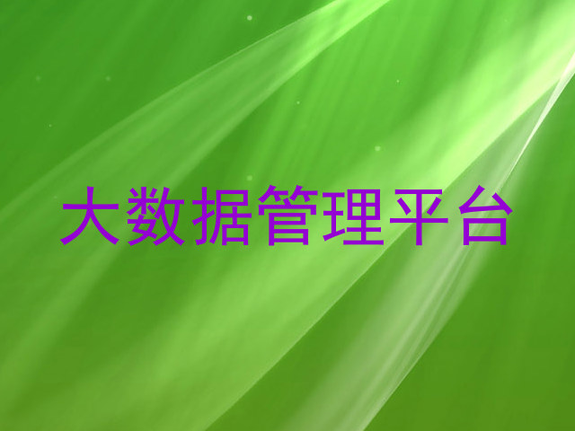 大数据管理平台