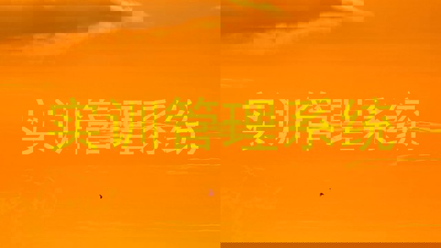 实训管理系统