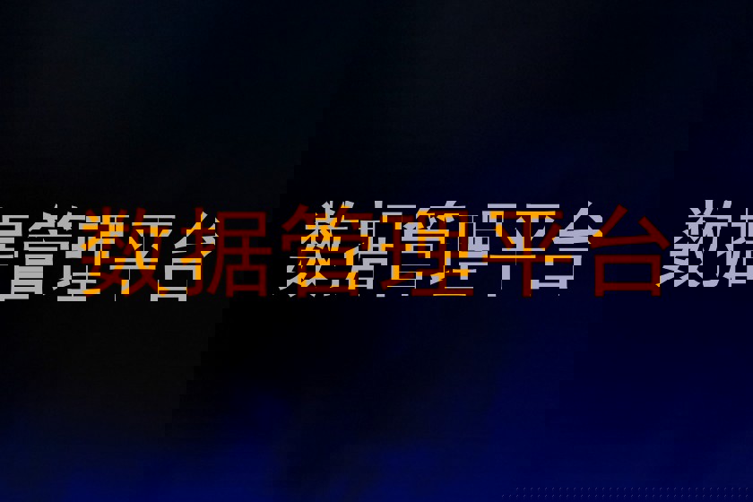 数据管理平台