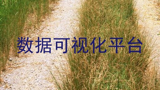 数据可视化平台