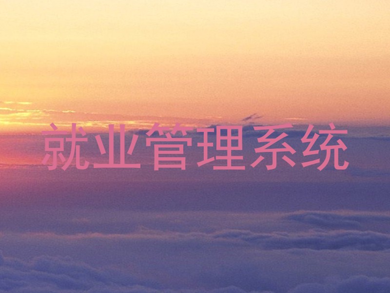 就业管理系统