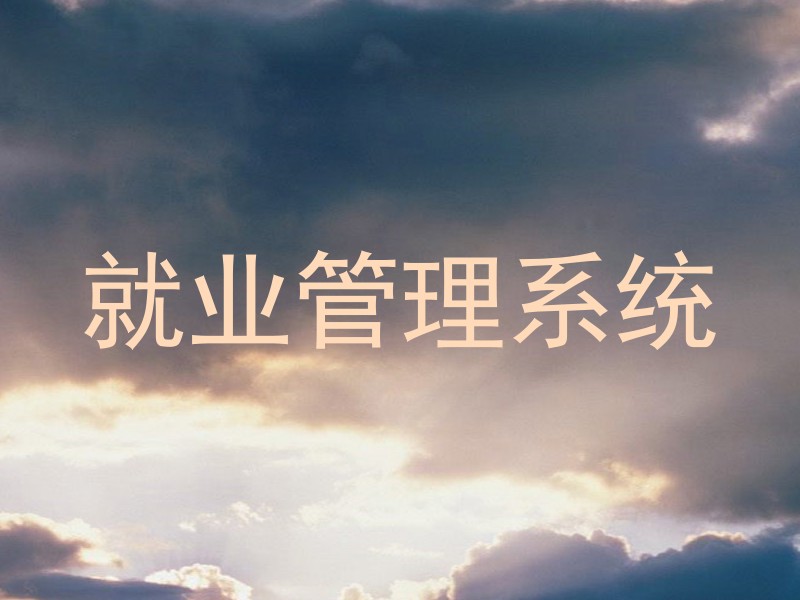就业管理系统