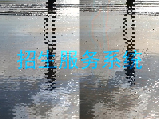 招生服务系统