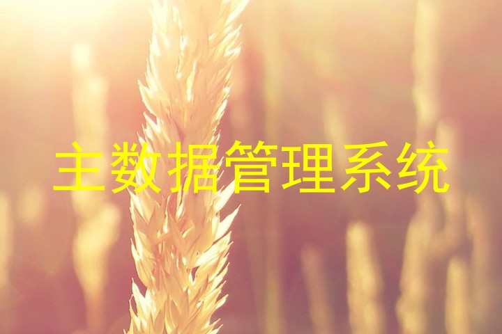 主数据管理系统