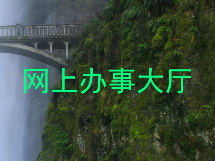 网上办事大厅