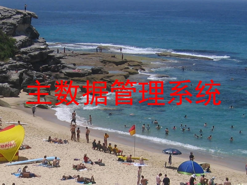 主数据管理系统