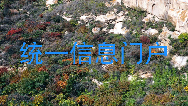 统一信息门户