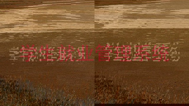 学生就业管理系统