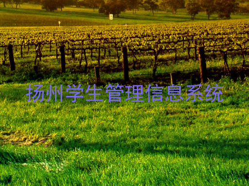 扬州学生管理信息系统