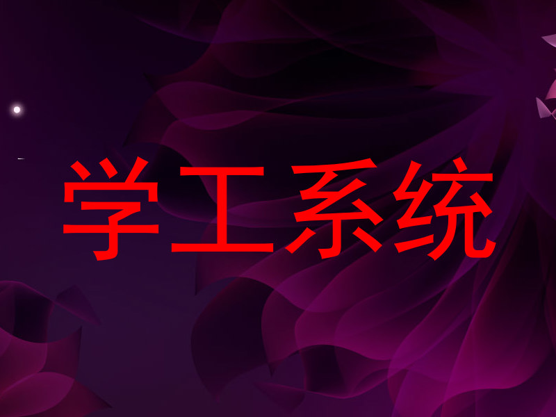 学工系统