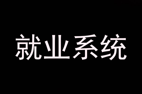 就业系统