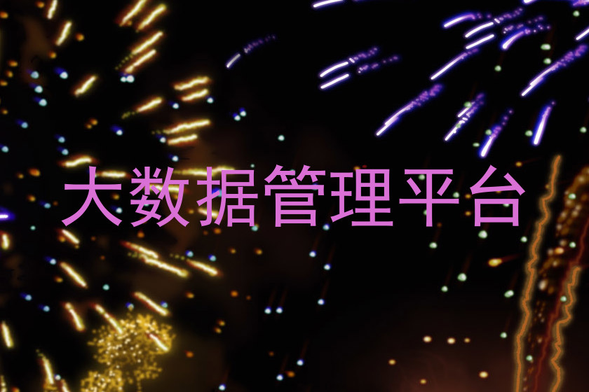 大数据管理平台