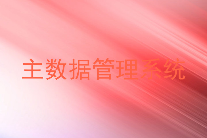 主数据管理系统