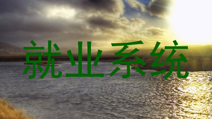就业系统