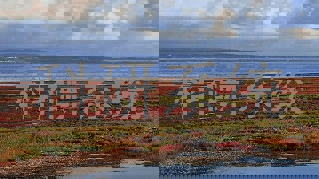 科研系统