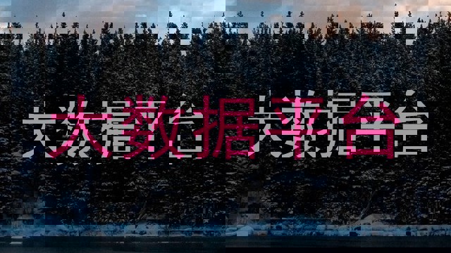 大数据平台