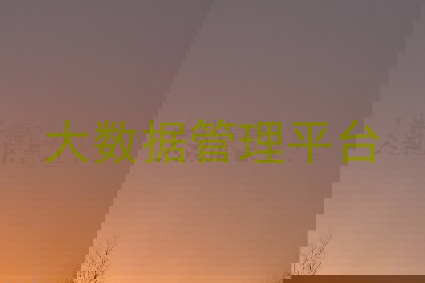 大数据管理平台